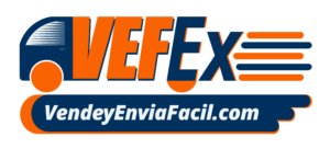 Logo VEFEX.cl