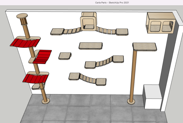 Gatificación Carla París - Imagen 2