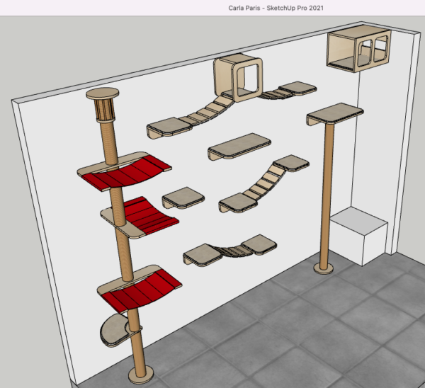 Gatificación Carla París - Imagen 3