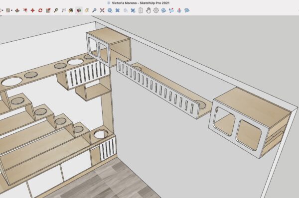Gatificación Victoria Moreno - Imagen 6