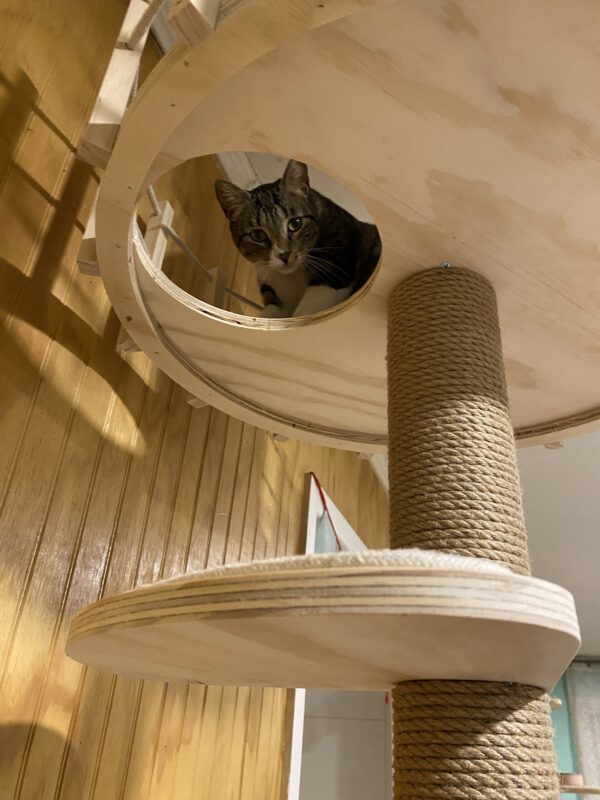 Rascador Caño Cat Sparrow 2.0 - Imagen 3
