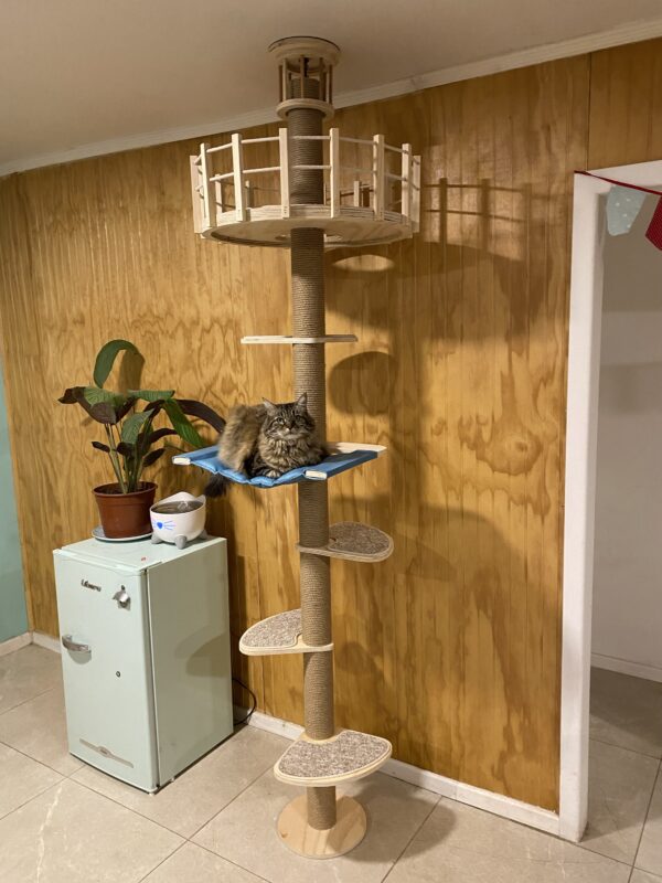 Rascador Caño Cat Sparrow 2.0 - Imagen 7