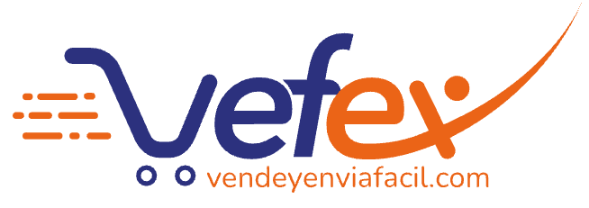 Logo VEFEX.cl